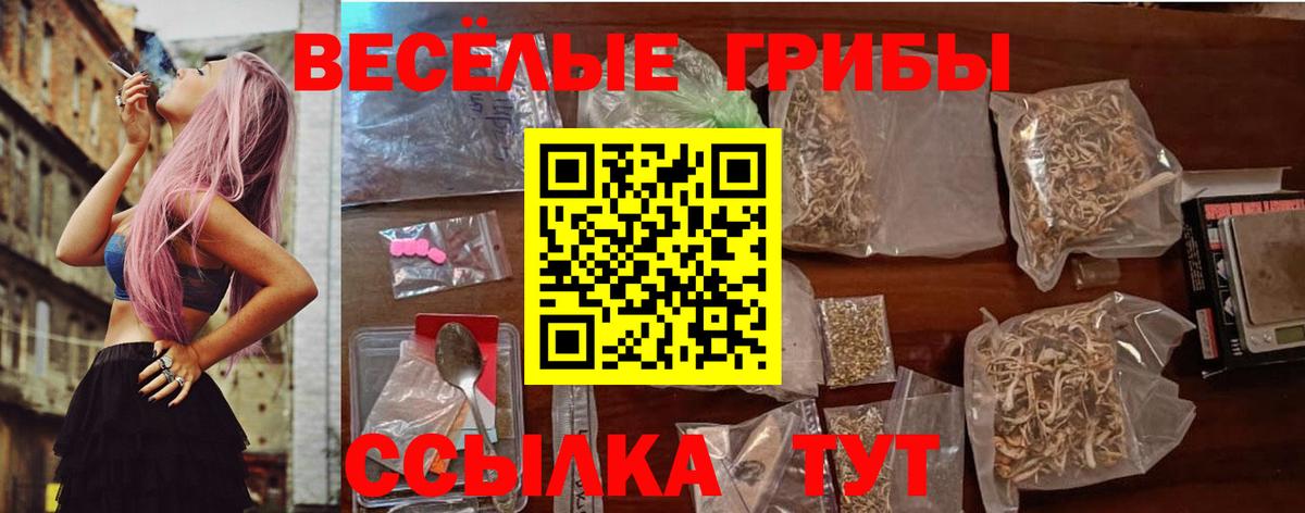Галлюциногенные грибы Psilocybe Рузаевка
